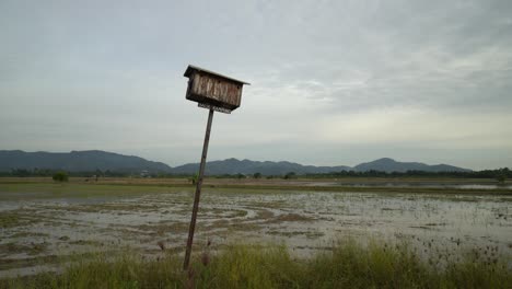 malays word balik kampung mean going back hometown