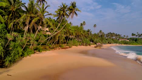 volando sobre una playa de arena con cocoteros en sri lanka - weligama