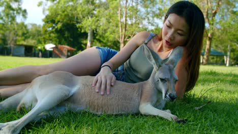 slow motion, malaysian woman patting a kangaroo laying in the grass