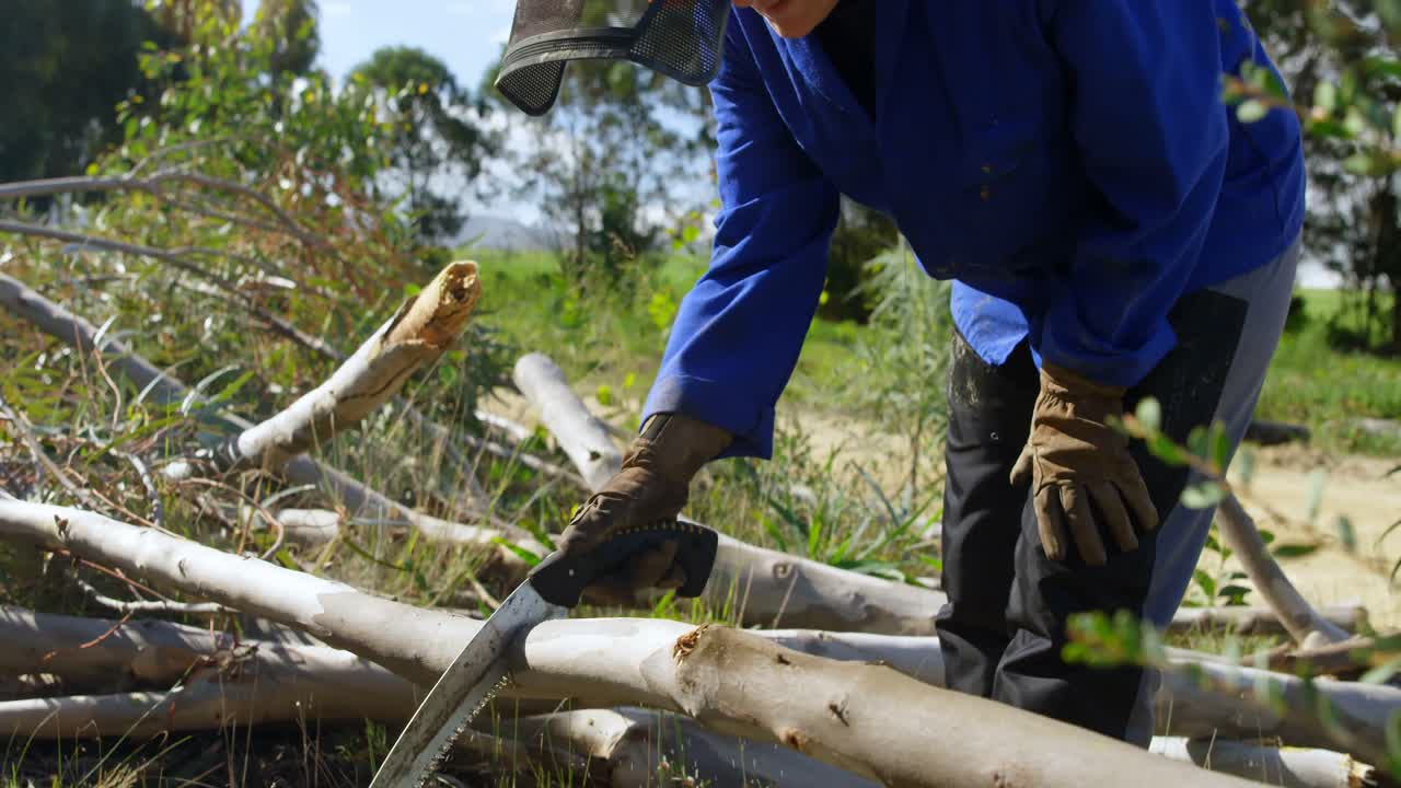 Lumberjack cutting tree branch with hand saw 4k