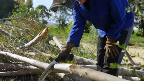 lumberjack cutting tree branch with hand saw 4k