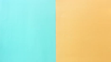plates on a color background