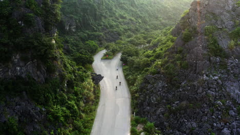 following a group of motorcycles winding along a mountain gorge highway, ninh binh, vietnam, aerial