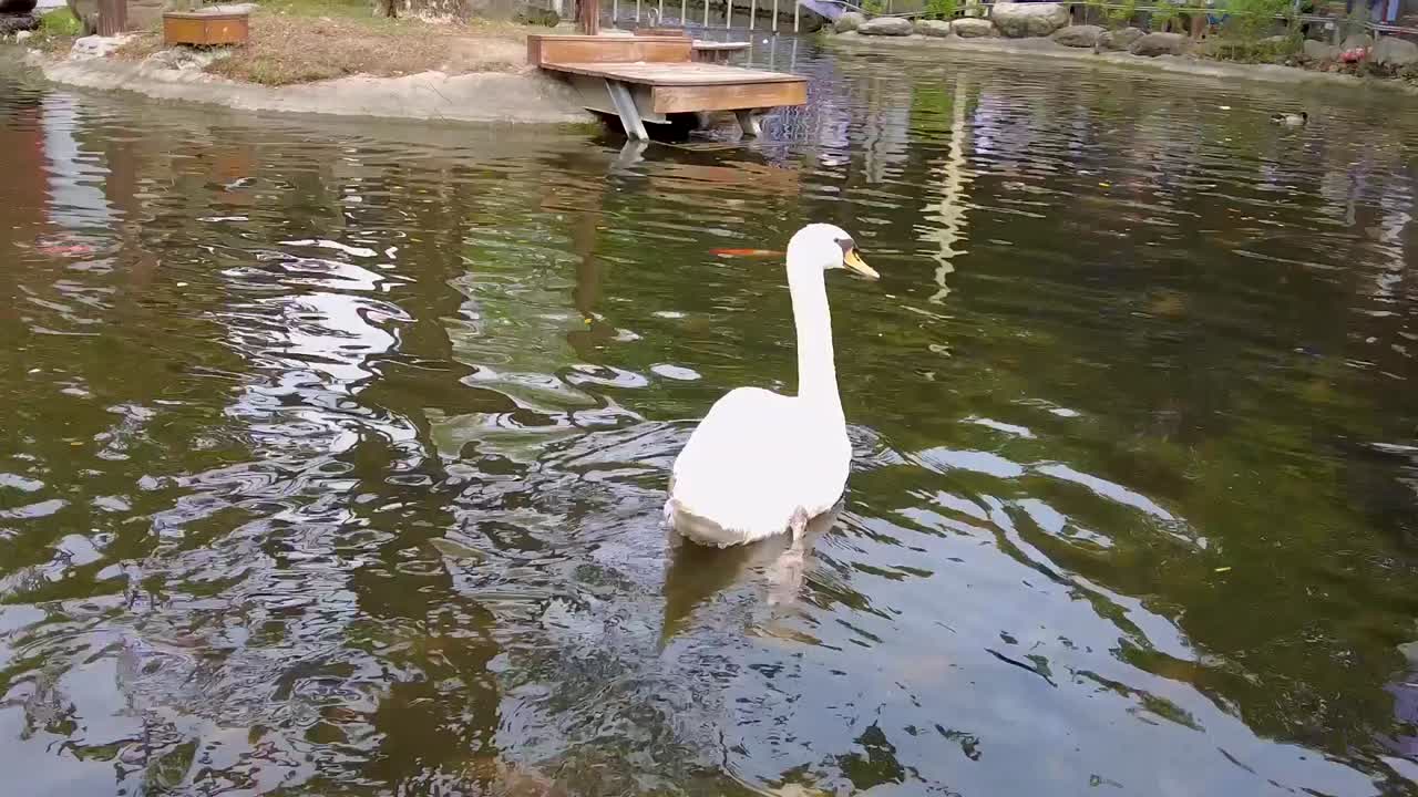 la mejor vista de toyko.