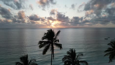 uroa beach in zanzibar island during sunset with palm trees, tanzania africa, aerial pan right shot