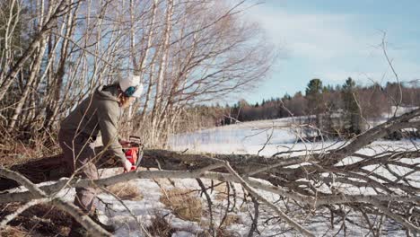 a man is utilizing a chainsaw to trim the branches of a tree on a winter day - static shot