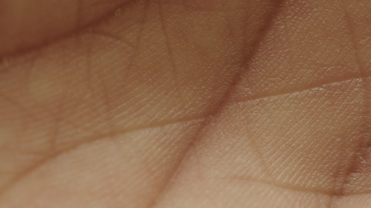 Detailed macro close-up of human hand skin, showing fine lines and pores in soft natural light. Perfect for medical, artistic, or tactile visual concepts