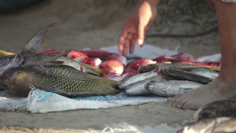 Mercado-De-Pescado-En-La-Costa-De-Mexico