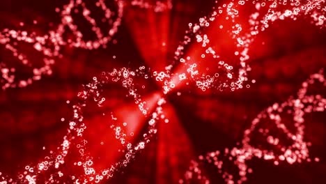3d animation of red colored dna helix moving in loop