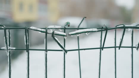 close-up of green metal fence coated in ice with icicles clinging to the wires, set against a blurred snowy background featuring a blurred building, highlighting winter's chill