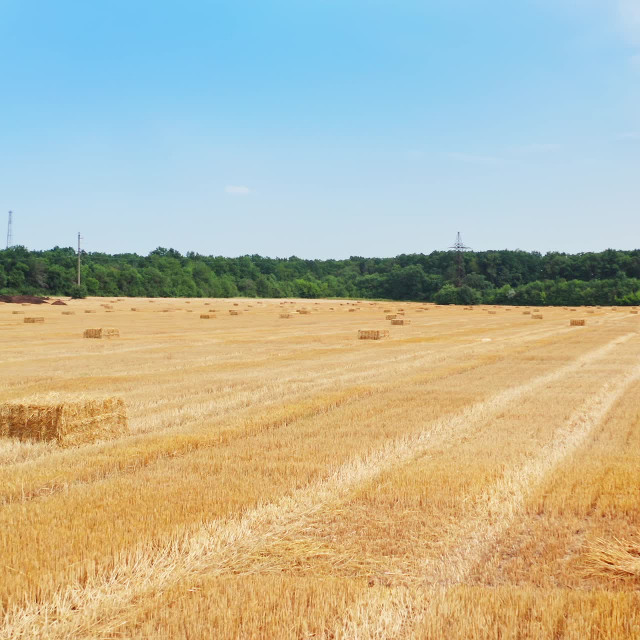 Dry field of cut wheat with left hay bales on. Drone footage over the farmlands after the grain harvesting season