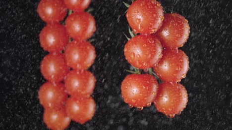 water droplets on fresh cherry tomatoes