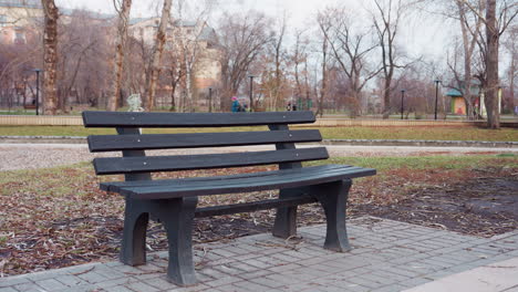 black bench sits on paved platform in winter park surrounded by leaf-strewn grass as people in coats pass by distant paths, bare trees and buildings visible in cool seasonal landscape