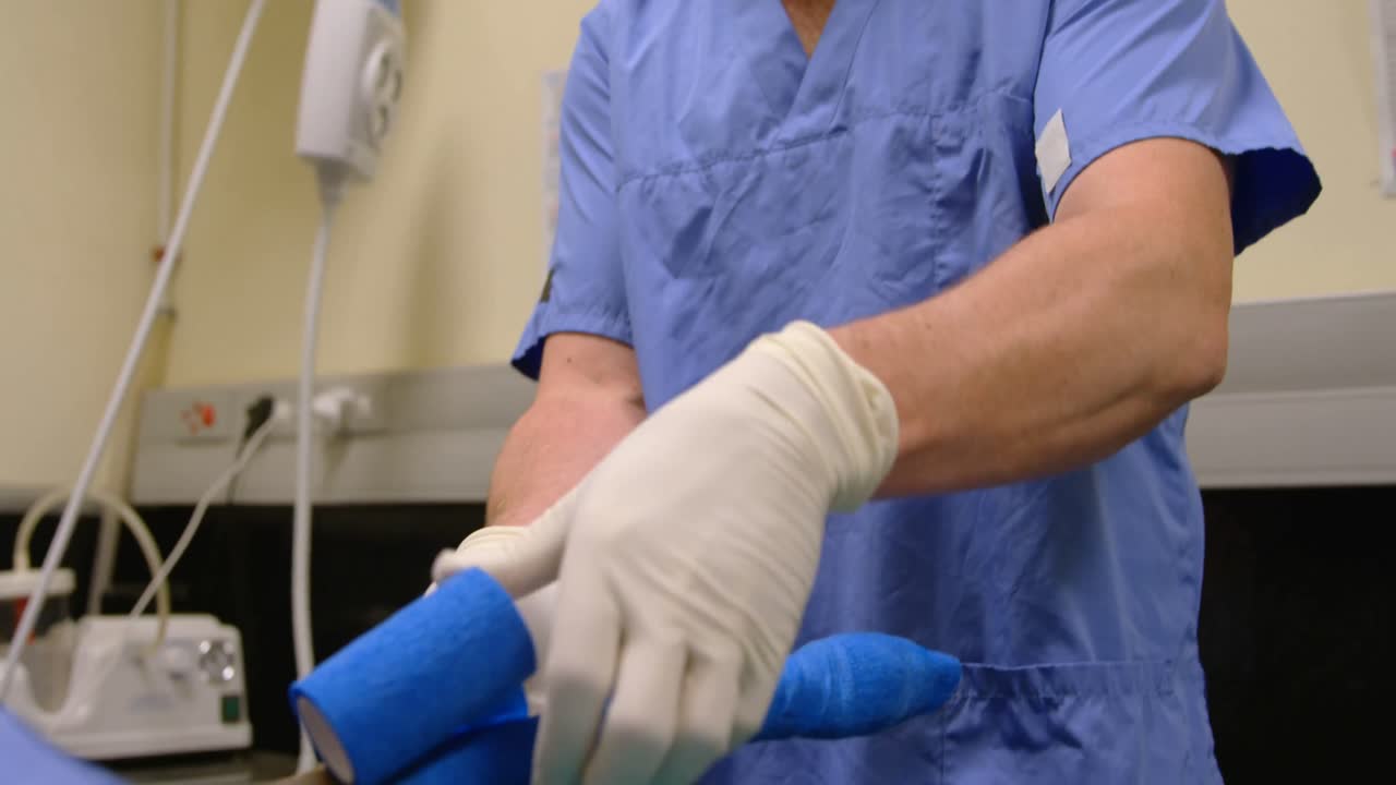 cirujano operando a un perro en la sala de operaciones 4k