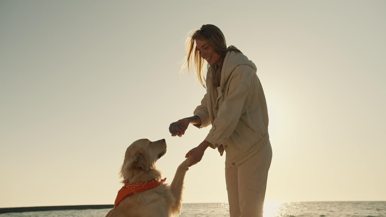 젊은 금발 소녀는 그녀의 큰 개 빛 색칠 새로운 명령을 가르치고 아침에 해변에서 그녀와 함께 재미