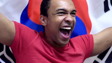 fanático surcoreano celebrando mientras sostiene la bandera de corea del sur en cámara lenta