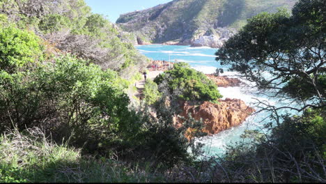 um lindo dia de verão com vista para as cabeças de knysna de um ponto de vista do oceano índico, coney glen e do estuário