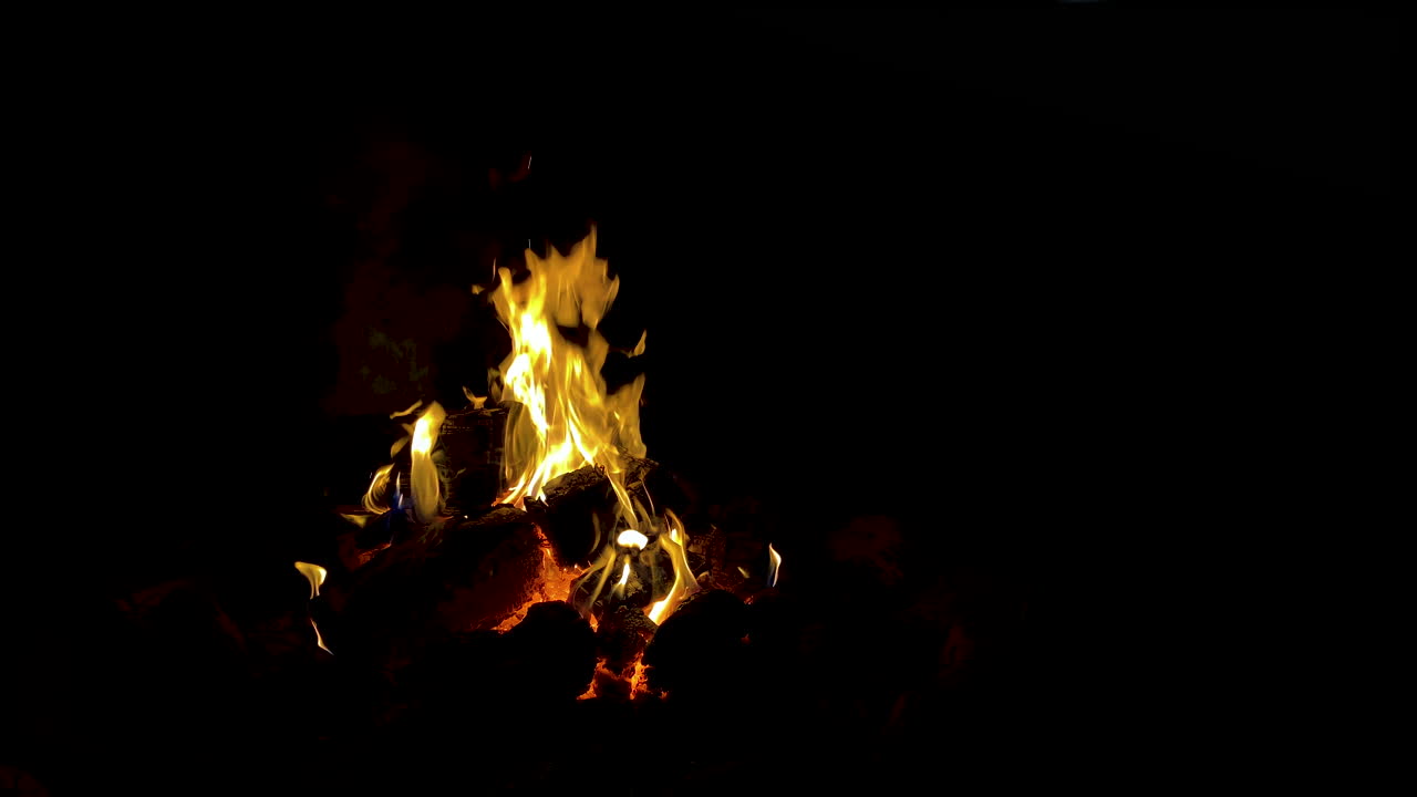 A Glowing Camp Fire At Dusk Inside The Forest In Poland. - Static Shot