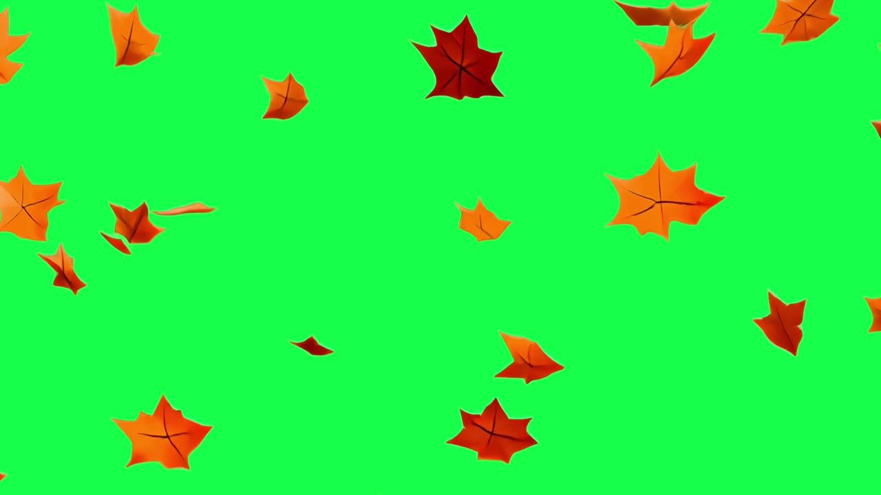 Video 4K di foglie autunnali fluttuanti trasparenti, green screen
