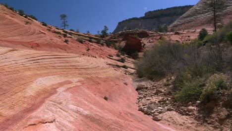 utah zerodował wzór topografii slickrock w parku narodowym zion