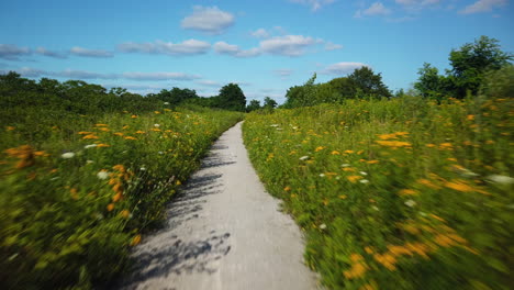 point of view cycling on a path through a grass meadow in summer