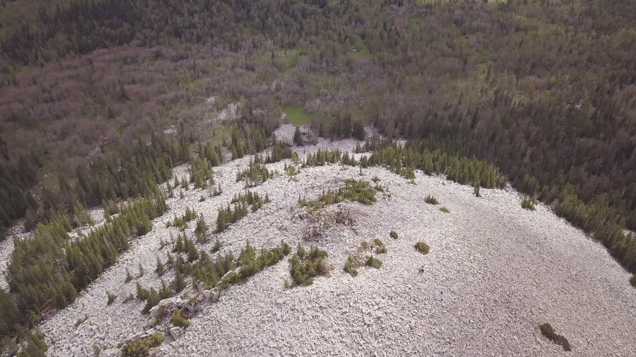 воздушный вид горного ландшафта с лесом и скалами