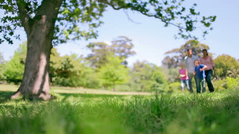 Low-angle-view-of-a-family-holding-hands-while-skipping-through-grass