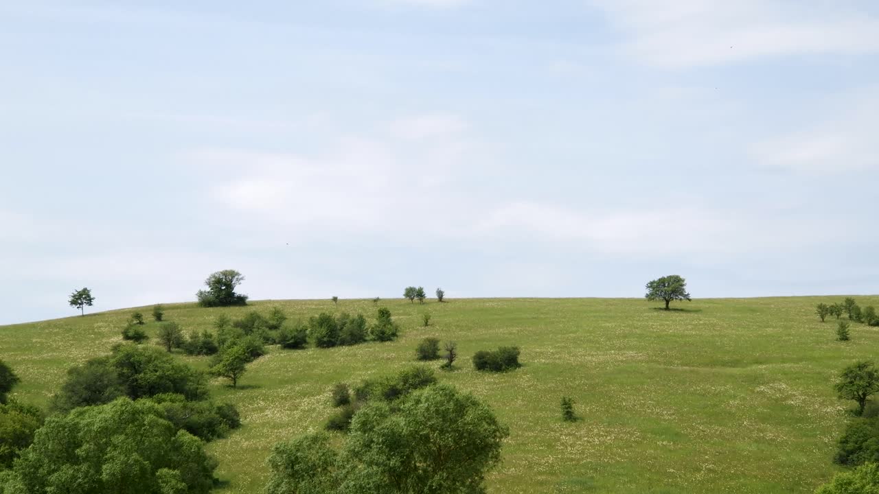 Green hills with scattered trees under blue sky