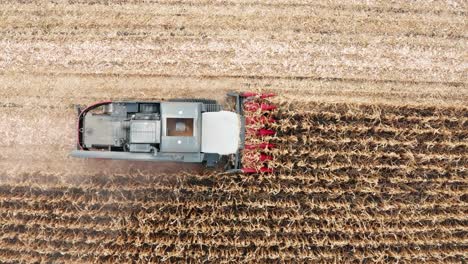 top down aerial view of corn harvesting