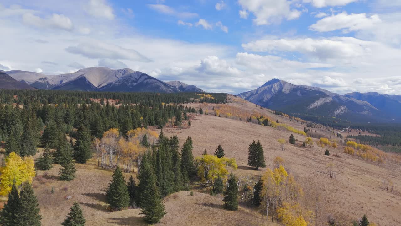 un avión no tripulado que se mueve lentamente captura moscas a lo largo de la línea de árboles de hoja perenne y árboles de abeto amarillentos en otoño en el valle del río red deer cerca de ya ha tinda ranch alberta, canadá