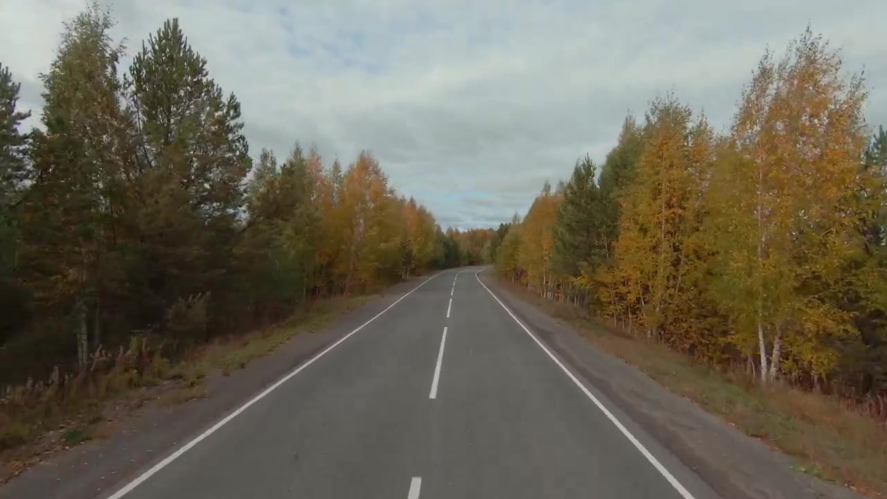 Riprese FPV con drone che vola sopra una strada asfaltata vuota attraverso una colorata foresta autunnale, con alberi gialli e arancioni che costeggiano l'autostrada sotto un cielo coperto.
