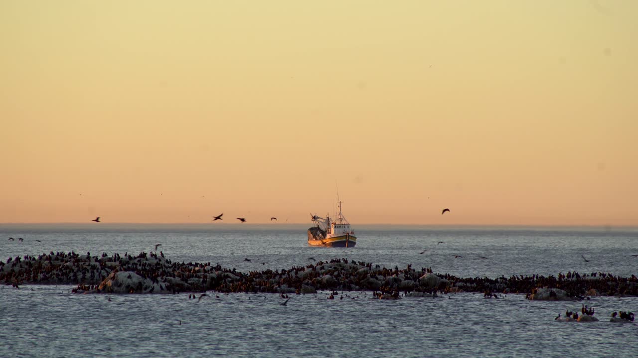 물고기를 잡고 있는 보트와 그 앞에 날아다니는 새