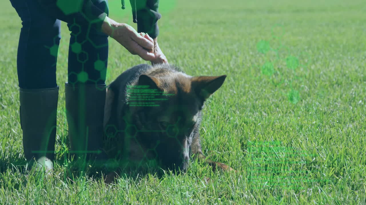 female trainer touching dog head in grassy field, showing neon green technology interface