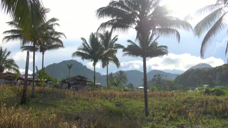 Palmeras-Y-Pequeñas-Casas-De-Nipa-En-La-Cima-De-Una-Pequeña-Colina-En-Una-Provincia-Rural-De-Actualidad