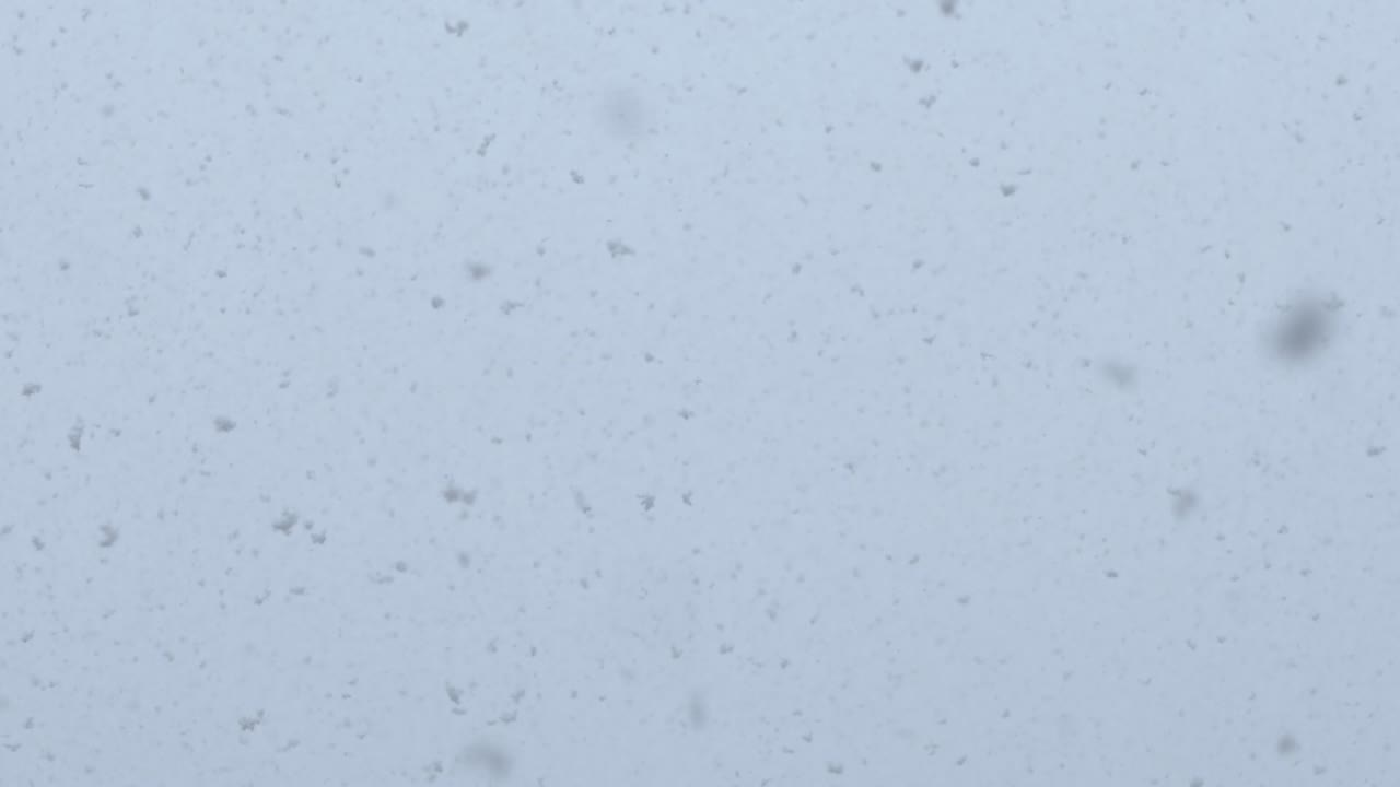 Large snowflakes fall from the blue sky