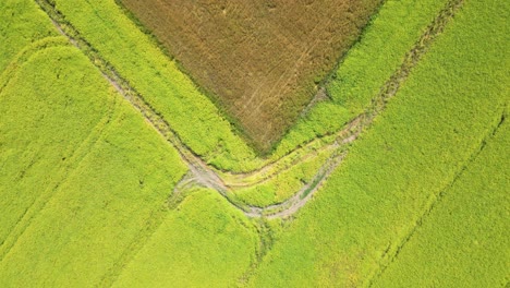 Landstraße,-Die-Im-Sommerabend-Durch-Ackerland-Führt