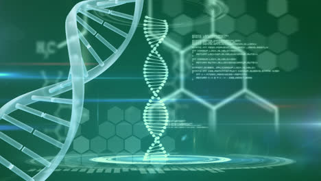 animation of dna strand, medical data processing and chemical formulae on green background