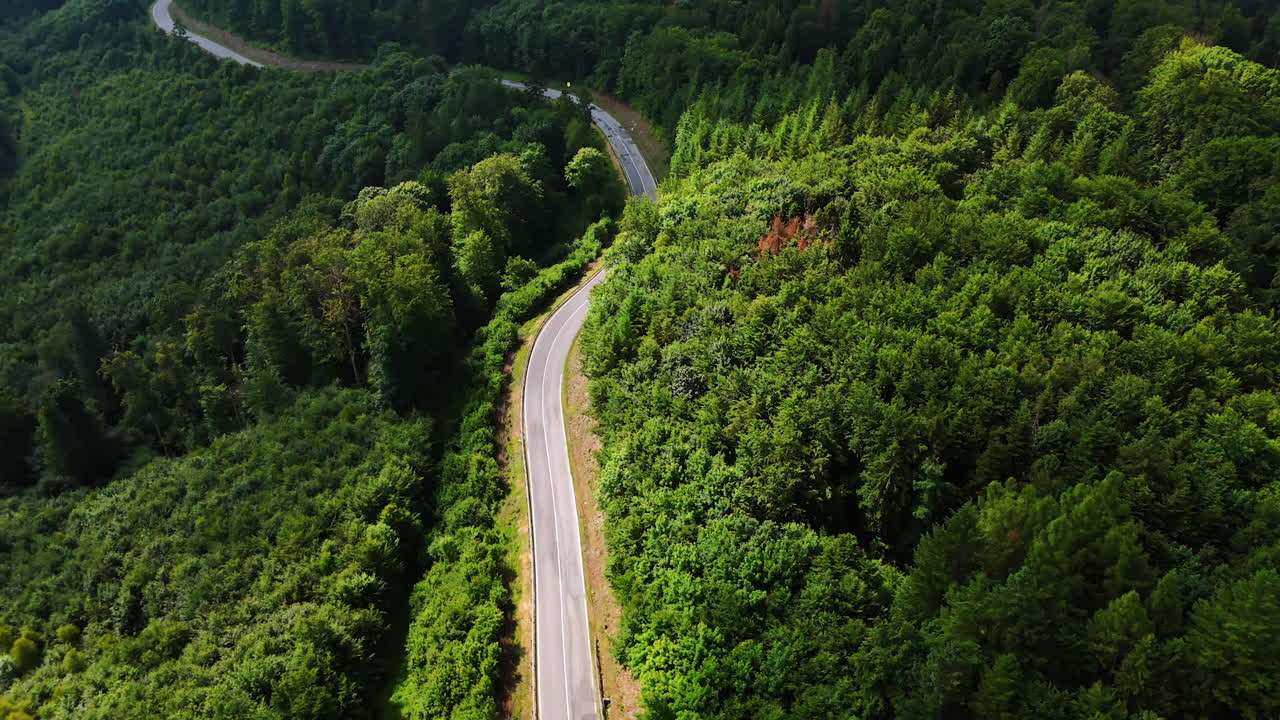 Winding road through lush green forest. A scenic road winds through a dense forest of vibrant green trees, showcasing nature's beauty in a tranquil setting