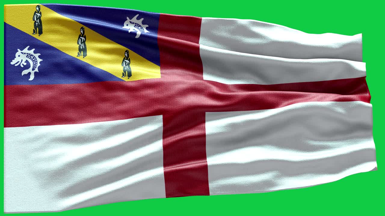 4k 매우 상세한 herm의 발 - herm 발 높은 세부 사항 - 국가 발 herm 파동 패턴 loopable 요소