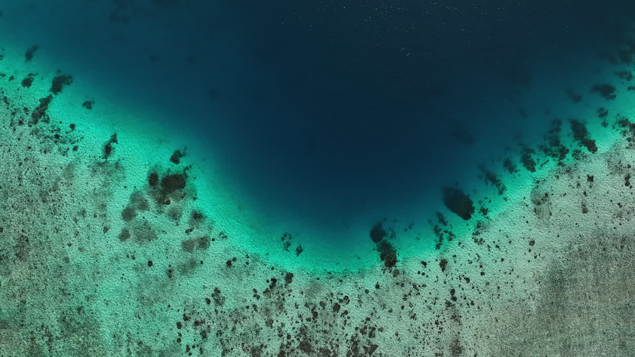 Aerial View nearby Mbambanga Island with two Dolphins swimming, Solomon Islands