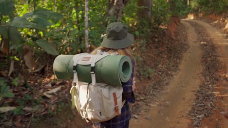 hiking woman walk in rainforest jungle. rear back view of girl hiker walking with backpack through dense rain forest nature summer day, sun effect.