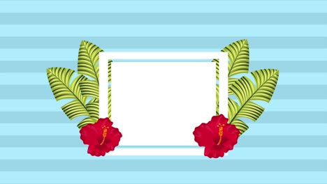 summer tropical template