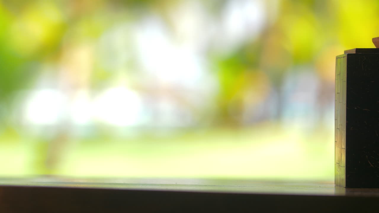 테이블 위에 흐릿한 배경에 꽃과 수건을 굴러 놓고 있는 여자 손의 모습 모리셔스 섬