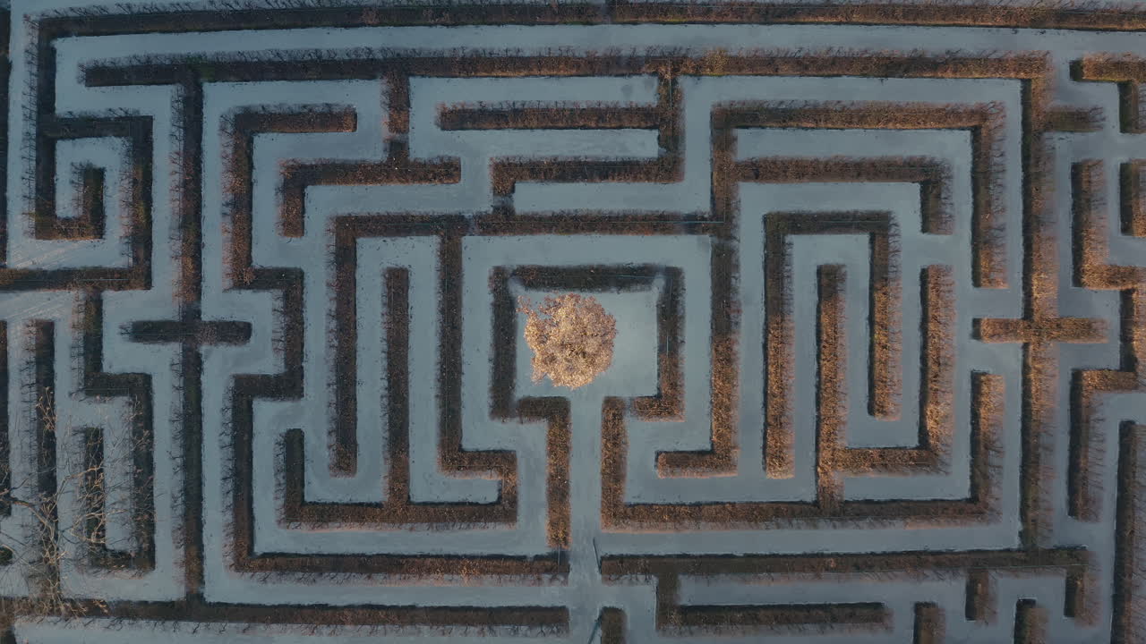 Aerial View of a Large Garden Maze