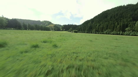 woman on sunny field and hilly green azores landscape, fast fpv aerial