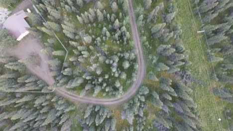 Großer-Wald-Voller-Bäume-Mit-Blick-Auf-Die-Luftaufnahme