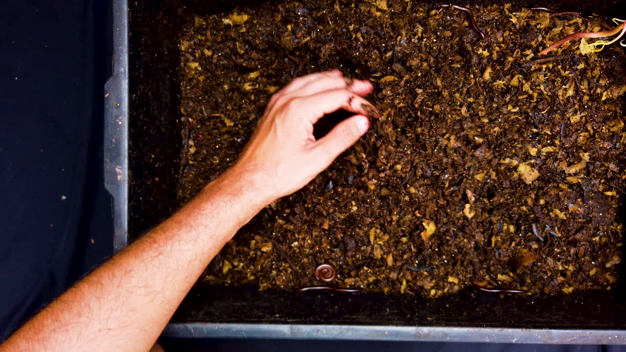 compost con tierra compostada, sustentabilidad, calentamiento global