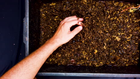 Compost-Con-Tierra-Compostada,-Sustentabilidad,-Calentamiento-Global