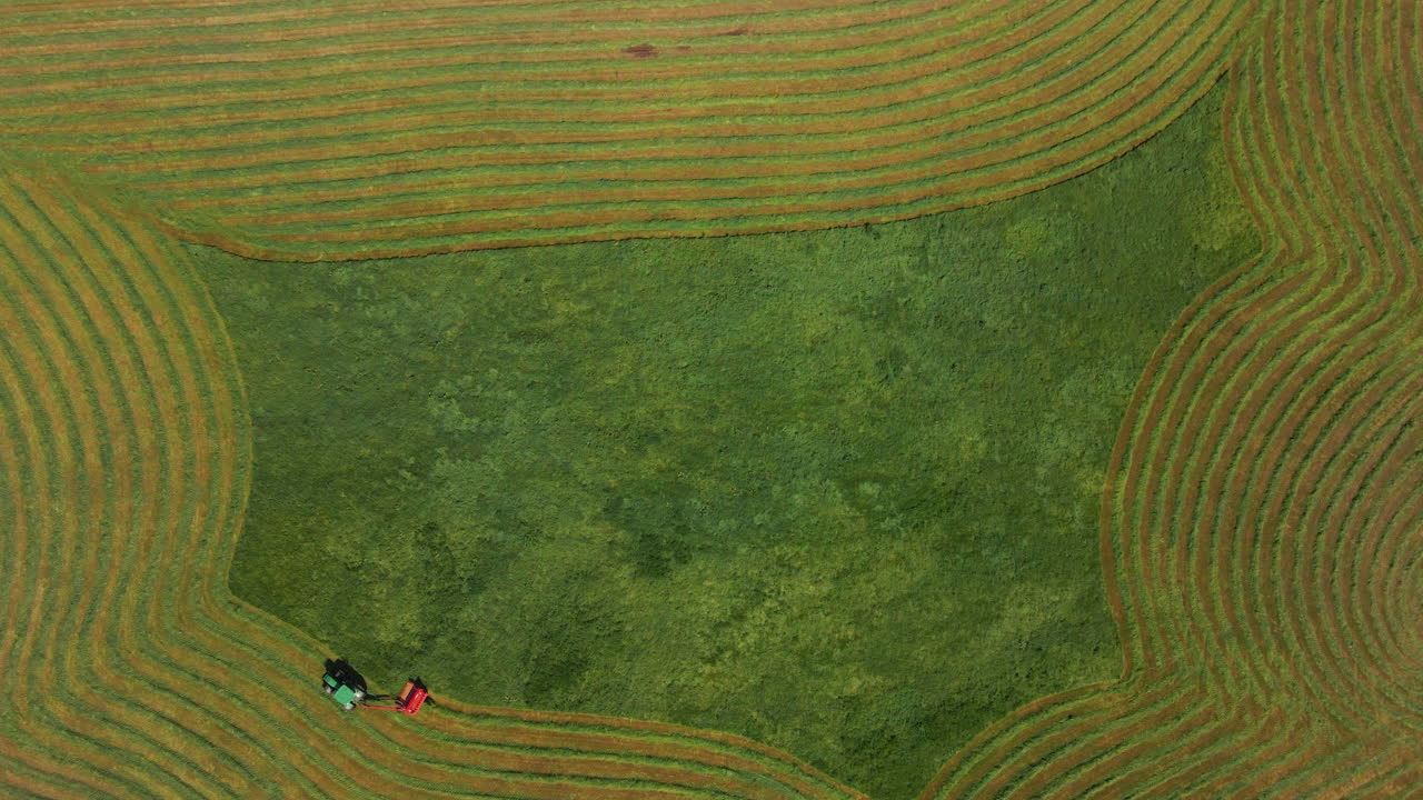 농지에 사일리지를 위해 바람에 날린 풀을 줄지어 만드는 마초 수확기의 공중 전망