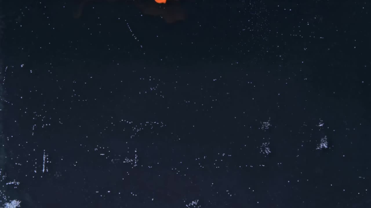 오렌지색과 파란색 잉크가 물에 여 있습니다.